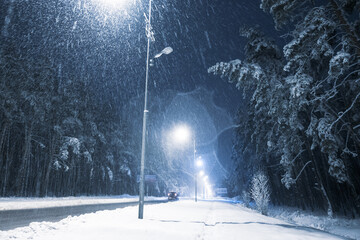 Snowy night road in the forest illuminated by street lights.