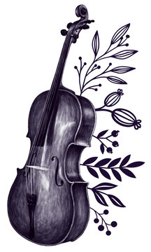 Zeichnung Cello Musikinstrument floralen Akzente