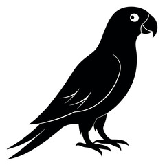 Obraz premium Simple Parrot silhouette vector illustration. 
