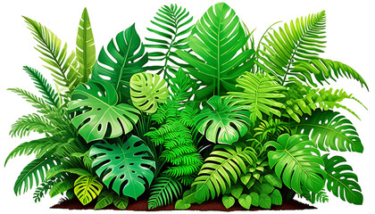 Lush green plants bush monstera palm rubber plant and fern cut out isolated transparent png.