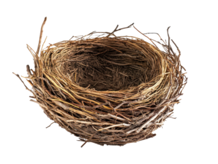 Round bird nest made of twigs on transparent background.