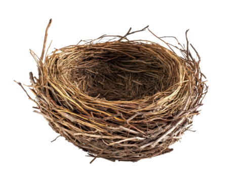 Round bird nest made of twigs on transparent background.