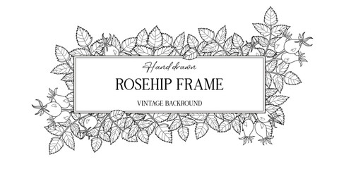 Hand drawn autumn botanical frame with rosehip leaves. Vector illustration in sketch style isolated on white. Realistic rosehip design element. Space for text