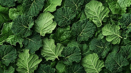 A vibrant close-up of fresh green leaves, showcasing their rich texture and color, perfect for culinary or health-related themes.