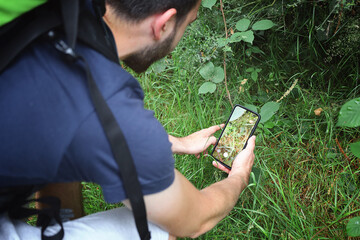 Side view of a guy taking a photo of a spider in the grass. Man, nature and modern technology.