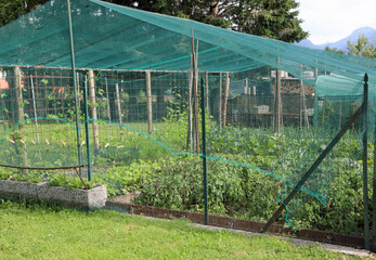 outdoor vegetable garden with an extensive green net for protection against hail and birds