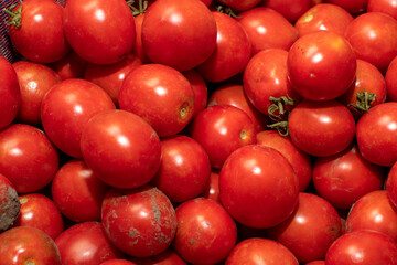 Closeup view of a freshly picked tomatoes	