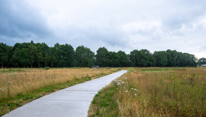 Obraz premium A serene park located at the Germany-Netherlands border, Gronau, Enschede 2024