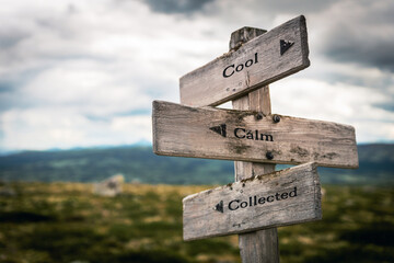 cool calm collected text quote on wooden directional signpost outdoors in nature