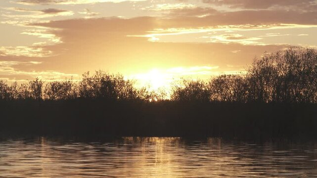Spring sunrise over the northern smooth water river. Trees with budding foliage, spring clothes the land with verdure