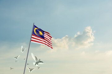 Fototapeta premium Malaysia flag waving with flying doves in beautiful sky. Malaysia flag for Republic Day and Independence Day.