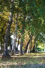 Fototapeta premium A simple walk in the city