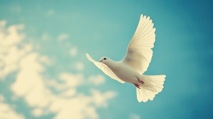 Obraz premium A white dove soaring gracefully under a clear blue sky with fluffy clouds on a sunny day