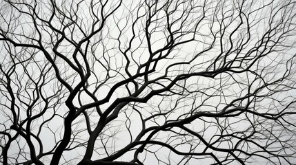 intricate trees without leaves