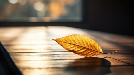 autumn background leaf