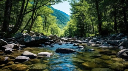 Obraz premium forest water mountain