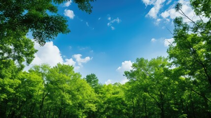 Obraz premium leaves green background blue