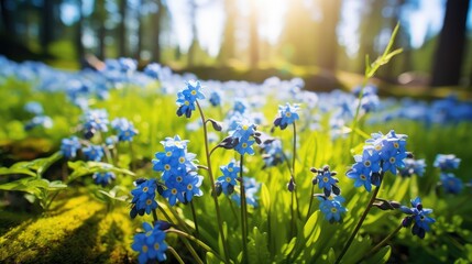 me spring plants