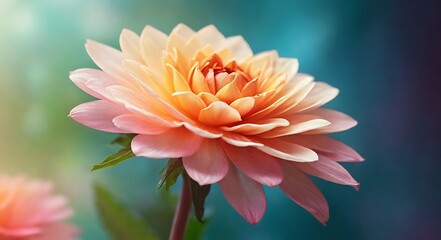 A flower on a light blurred background. Close-up. Soft focus. Nature. Background image