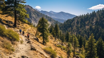 hikers california mountain road