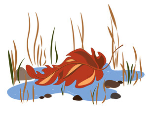 An autumn leaf lying on the ground