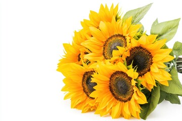 A bouquet of sunflowers, vibrant yellow petals, realistic style, isolated on white background