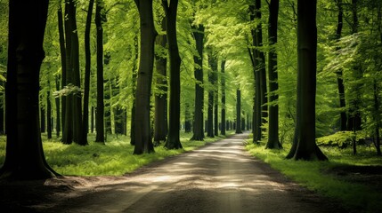 Obraz premium s simple tree