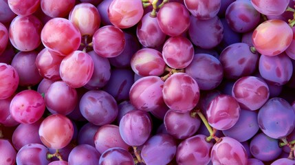 Macro closeup view of grape fruit balls