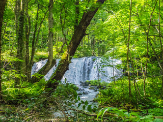 【青森県】奥入瀬渓流・銚子大滝