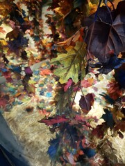 Colorful autumn leaves draping over hay at a seasonal outdoor display in a rural area during daylight