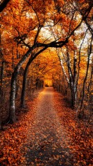 Fototapeta premium A serene autumn pathway surrounded by vibrant orange leaves and trees, inviting a peaceful stroll through nature's beauty.