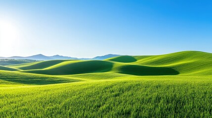 Fototapeta premium Green grass lawn stretching to the horizon, with soft hills in the distance and a bright, clear day.
