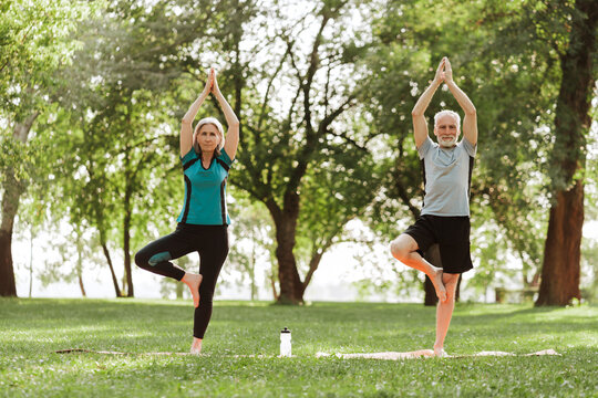 Serious, senior couple practicing yoga tree pose outdoors in park, training together