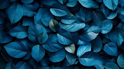 Teal Blue Leaf Background