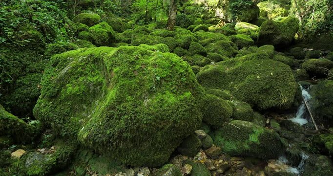 The Pecher spring, Florac, the Cevennes National park, Lozere dpartment, Occitania, Southern France