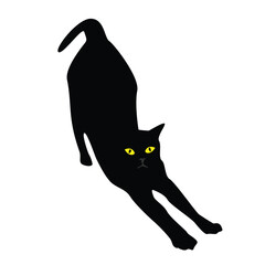 Cat silhouette. Vector silhouette of cat on white background.