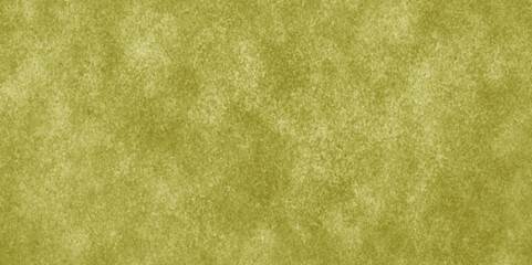 Fototapeta premium Green designed grunge texture. Vintage background. mottled green paper texture. old wall texture cement soft white background.