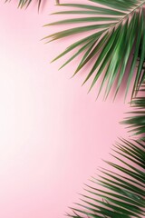Coconut tree with leaf closeup view