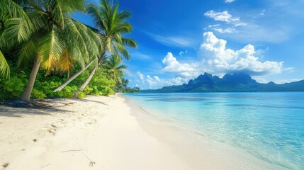 Coconut tree with leaf at sandy beach with sea