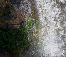waterfall in the forest