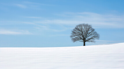 Lonely Tree in Serene Winter Landscape, a solitary tree stands amidst a blanket of pristine snow, evoking tranquility in a quiet, frosty environment.