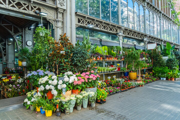 Stand mit Blumen am Mercat de la Concepció in Barcelona, Spanien © Robert Poorten