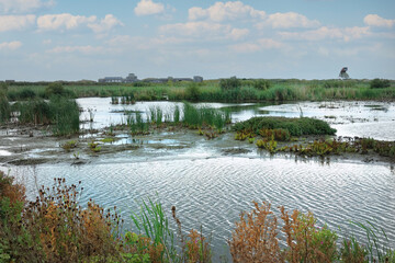 Landscape of the Dutch Markerwadden
