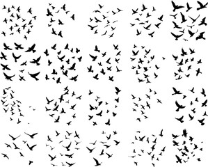 Silhouette of Birds in Flight, Minimalist Black and White Design