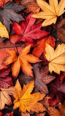 Colorful autumn leaves cover the ground, showcasing vibrant red, orange, and yellow hues. A perfect seasonal image.