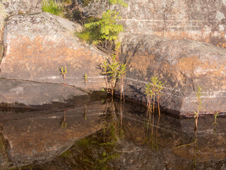 landscape with rocks