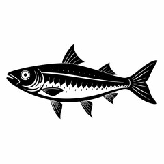 Obraz premium Bluefish Black Black silhouette