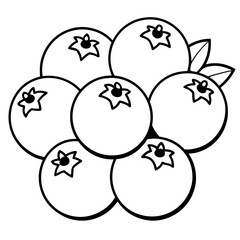various blueberries outline coloring book page line art drawing