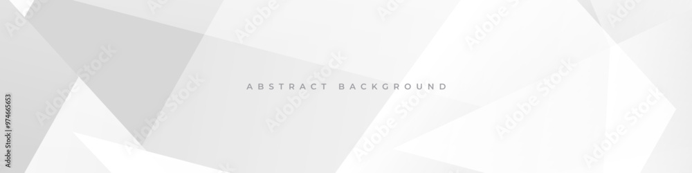 Poster wide white and grey modern abstract bannerbackground with polygonal texture. soft gray 3d abstract b