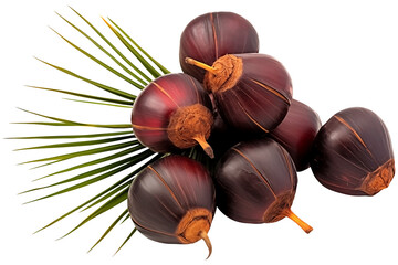 Close Up To a Set of ripe Saw Palmetto PNG isolated on white and transparent background - Tropical 
 palmetto berries Wild Fruit cluster